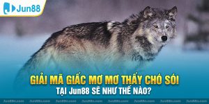 Giải mã giấc mơ mơ thấy chó sói tại Jun88 sẽ như thế nào?