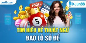 Tìm hiểu về thuật ngữ bao lô số đề