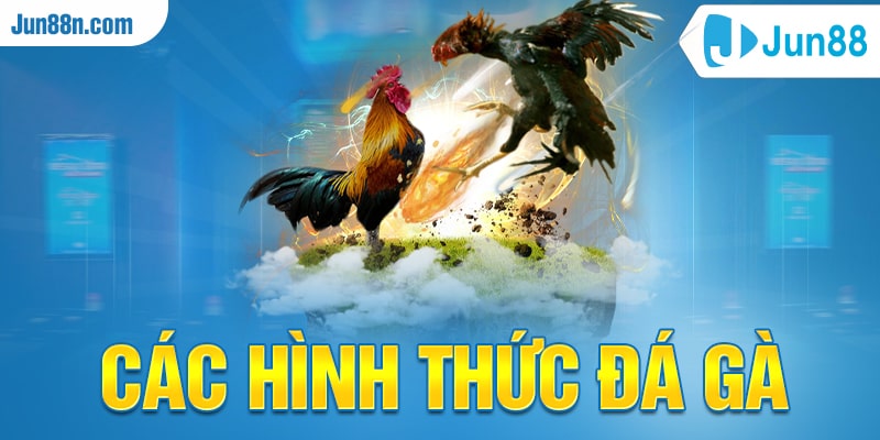 Các hình thức đá gà