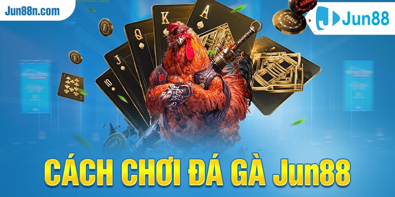 Cách chơi đá gà Jun88